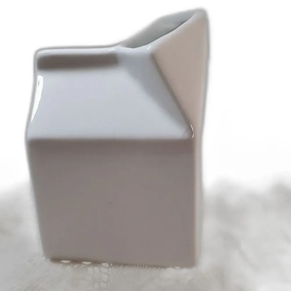 Pier 1 Imports White Stoneware Pint Milk Carton Creamer